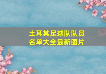 土耳其足球队队员名单大全最新图片