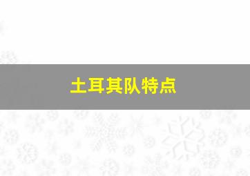 土耳其队特点