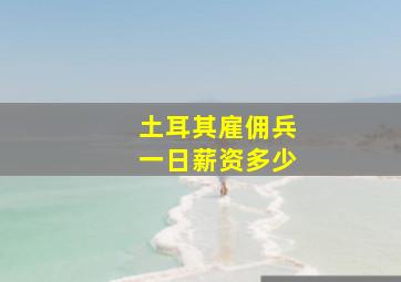 土耳其雇佣兵一日薪资多少