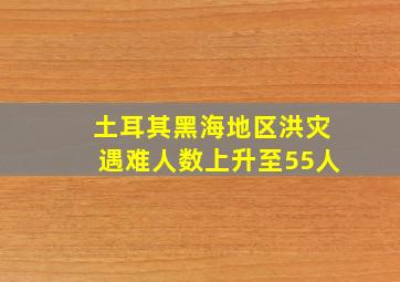 土耳其黑海地区洪灾遇难人数上升至55人