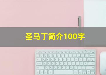 圣马丁简介100字