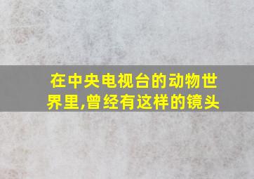 在中央电视台的动物世界里,曾经有这样的镜头