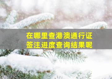 在哪里查港澳通行证签注进度查询结果呢