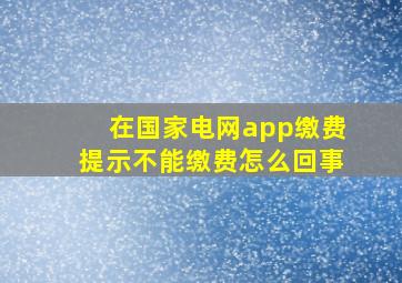 在国家电网app缴费提示不能缴费怎么回事