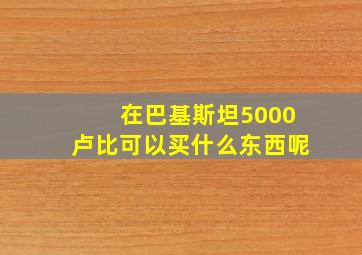 在巴基斯坦5000卢比可以买什么东西呢