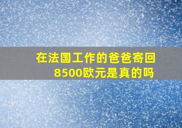 在法国工作的爸爸寄回8500欧元是真的吗