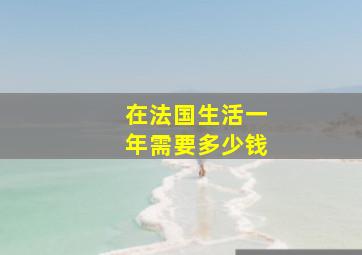 在法国生活一年需要多少钱