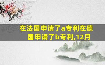 在法国申请了a专利在德国申请了b专利,12月