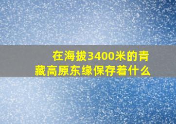 在海拔3400米的青藏高原东缘保存着什么