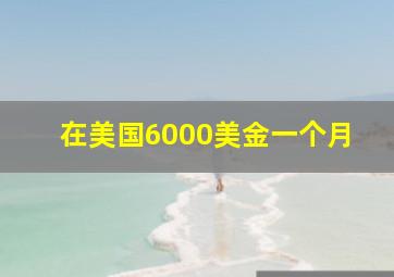 在美国6000美金一个月