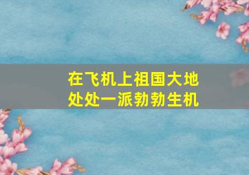 在飞机上祖国大地处处一派勃勃生机