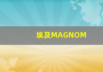 埃及MAGNOM