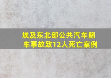 埃及东北部公共汽车翻车事故致12人死亡案例