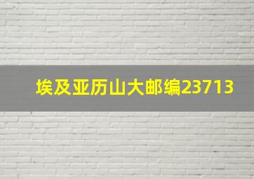 埃及亚历山大邮编23713