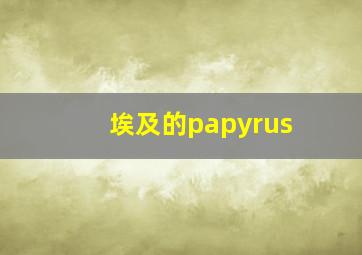 埃及的papyrus