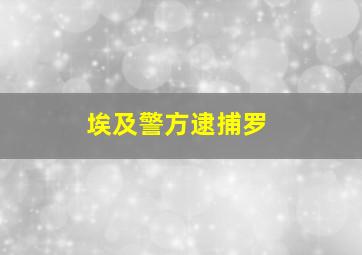 埃及警方逮捕罗