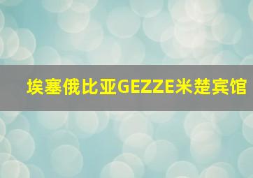 埃塞俄比亚GEZZE米楚宾馆