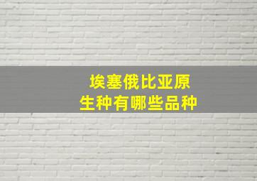 埃塞俄比亚原生种有哪些品种