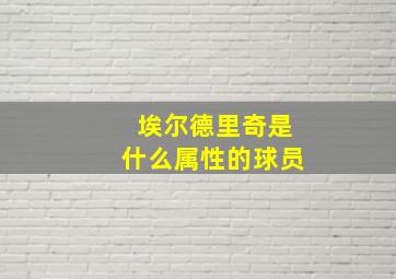 埃尔德里奇是什么属性的球员