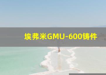 埃弗米GMU-600铸件