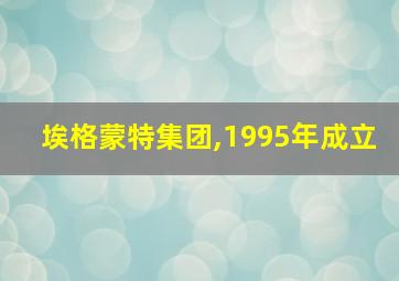 埃格蒙特集团,1995年成立