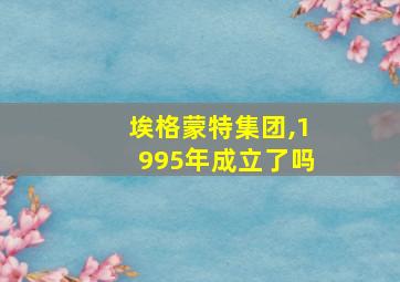 埃格蒙特集团,1995年成立了吗