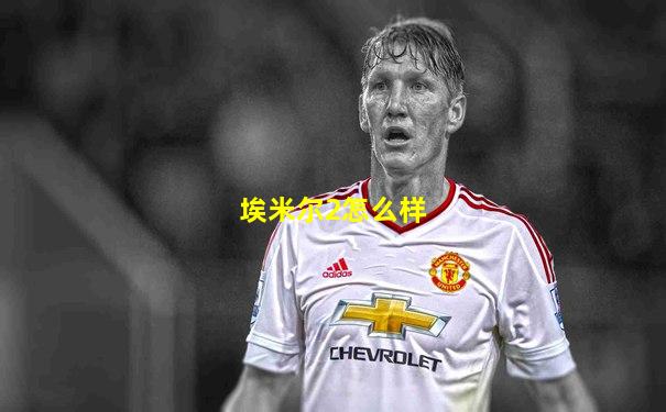 埃米尔2怎么样