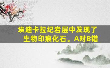 埃迪卡拉纪岩层中发现了生物印痕化石。A对B错