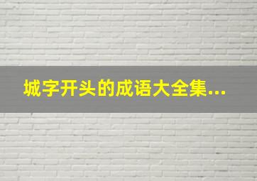 城字开头的成语大全集...