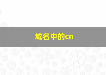 域名中的cn