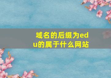 域名的后缀为edu的属于什么网站