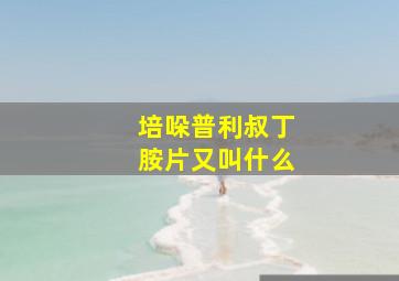 培哚普利叔丁胺片又叫什么