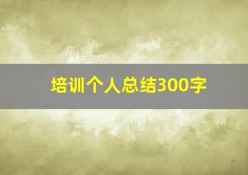 培训个人总结300字