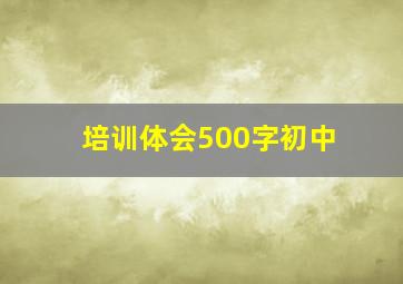 培训体会500字初中