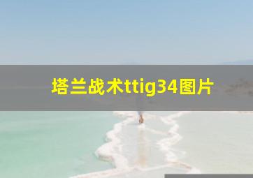 塔兰战术ttig34图片