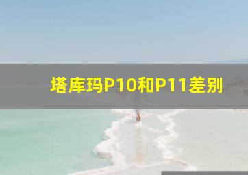 塔库玛P10和P11差别