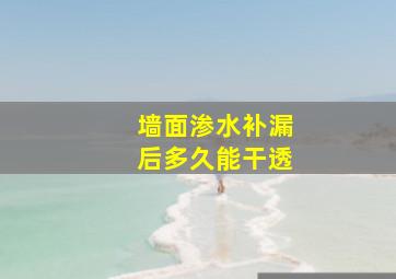 墙面渗水补漏后多久能干透