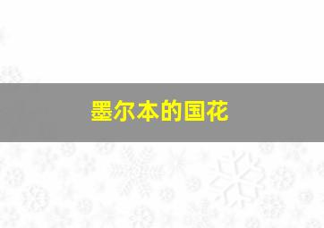 墨尔本的国花