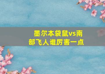 墨尔本袋鼠vs南部飞人谁厉害一点