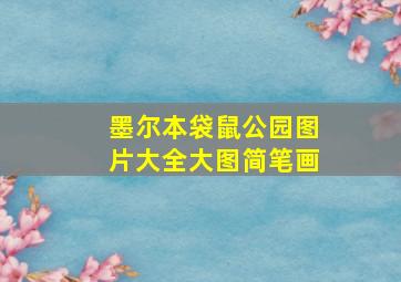 墨尔本袋鼠公园图片大全大图简笔画