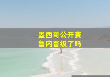 墨西哥公开赛鲁内晋级了吗