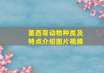 墨西哥动物种类及特点介绍图片视频