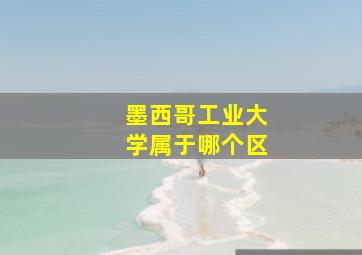 墨西哥工业大学属于哪个区