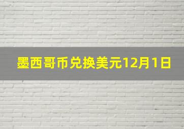 墨西哥币兑换美元12月1日