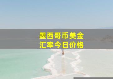 墨西哥币美金汇率今日价格