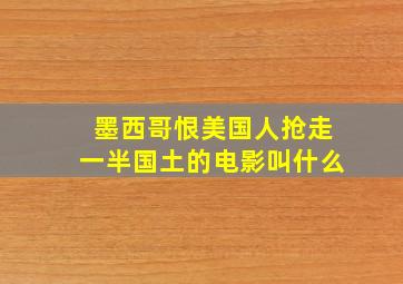 墨西哥恨美国人抢走一半国土的电影叫什么