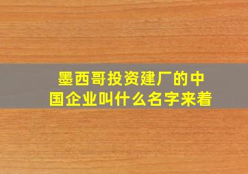 墨西哥投资建厂的中国企业叫什么名字来着