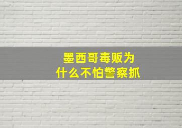 墨西哥毒贩为什么不怕警察抓