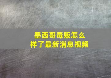 墨西哥毒贩怎么样了最新消息视频