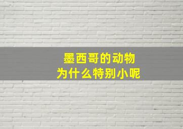 墨西哥的动物为什么特别小呢